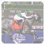 Breeders' Cup 2009