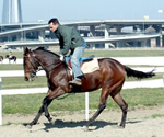 2014