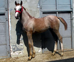 2014
