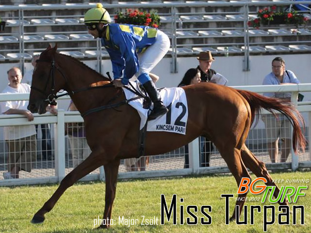 miss turpan