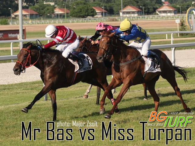 mr bas miss turpan