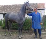2015