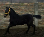 2015