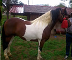 2015