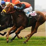 ivan v