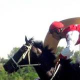 ivan v