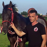 bane vasić