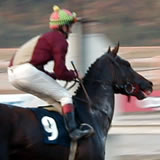 ivan v