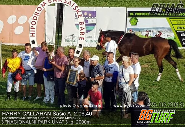 bgturf bihać