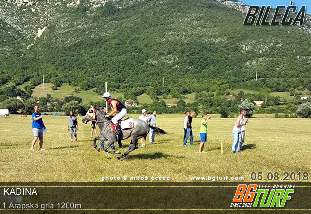 bgturf bileća