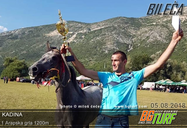 bgturf bileća