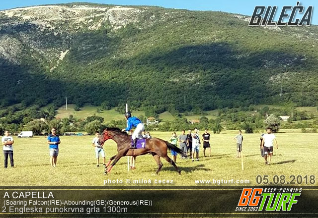bgturf bileća