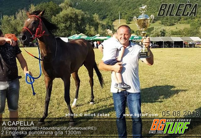 bgturf bileća