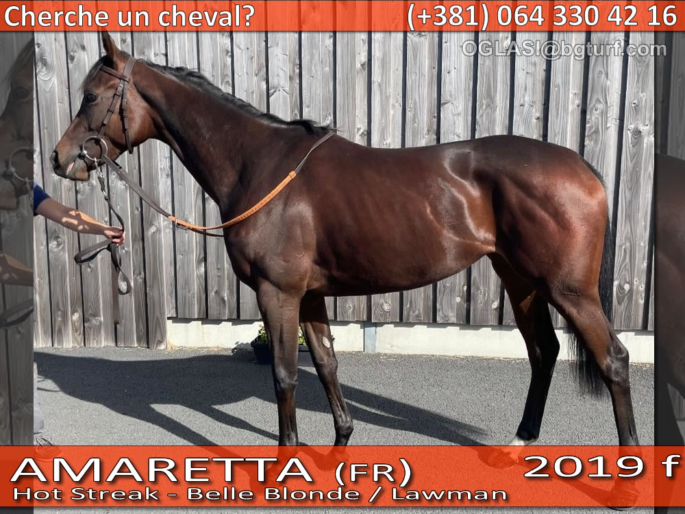 bgturf mala czarna