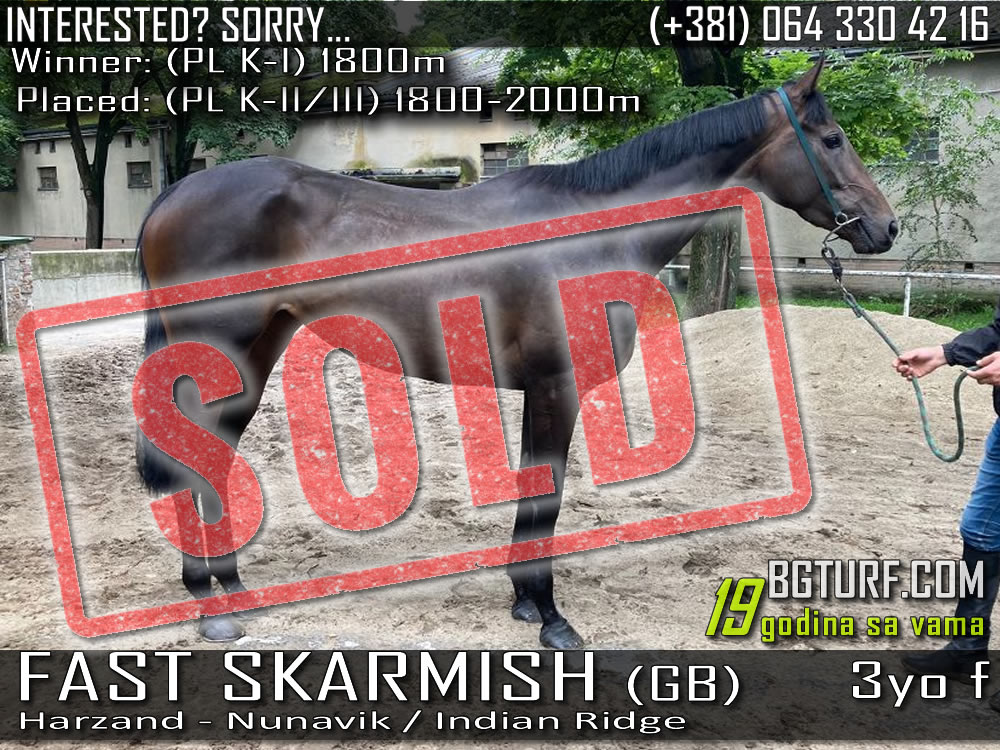 bgturf fast skarmish