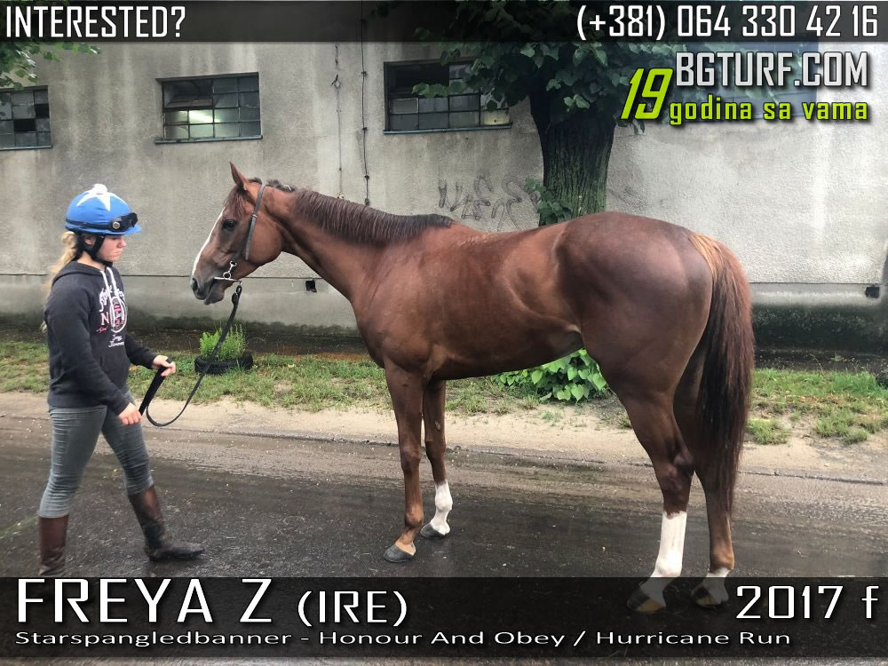 bgturf prince of lyra