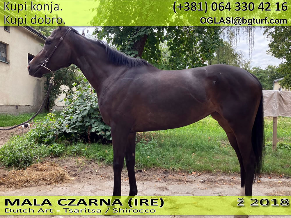 bgturf mala czarna