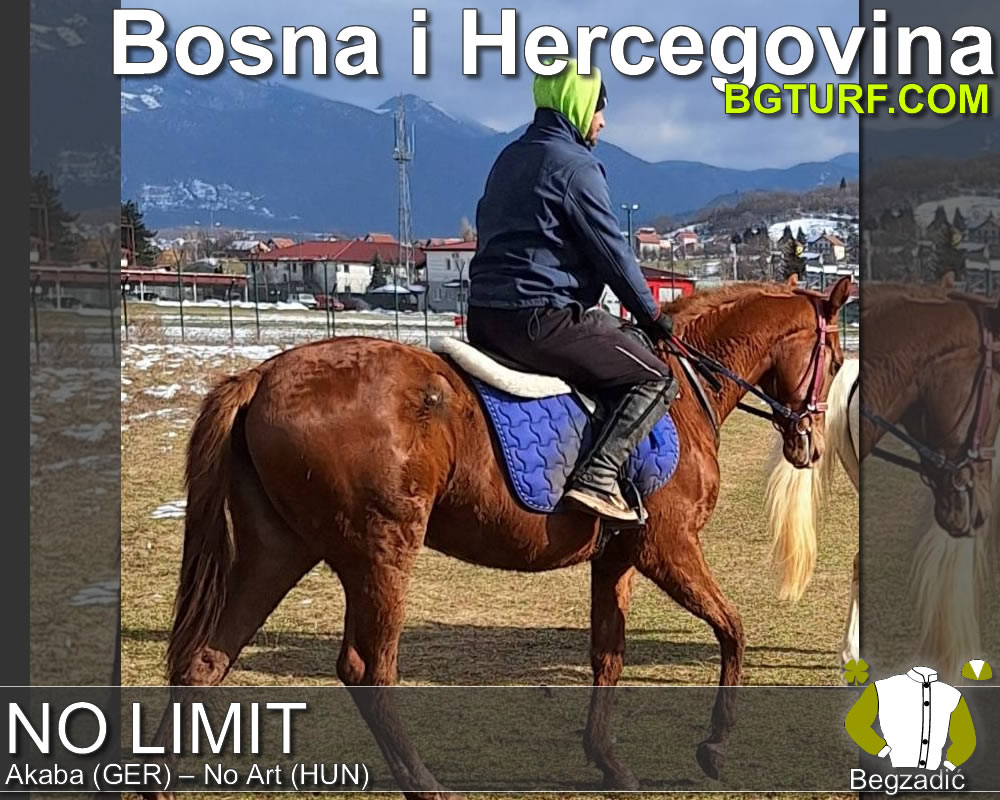 bgturf trening srbija