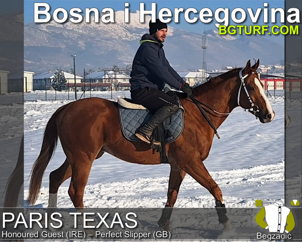bgturf trening srbija