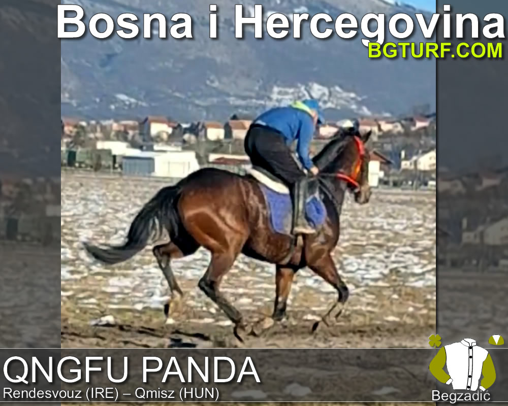 bgturf trening srbija