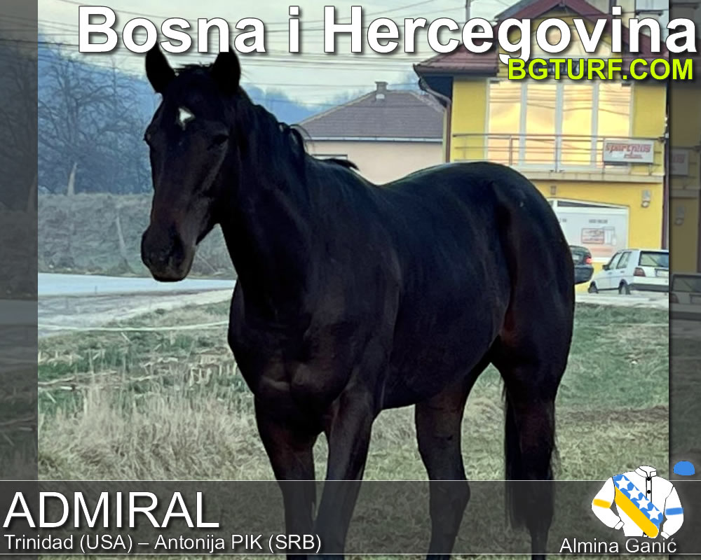 bgturf trening srbija