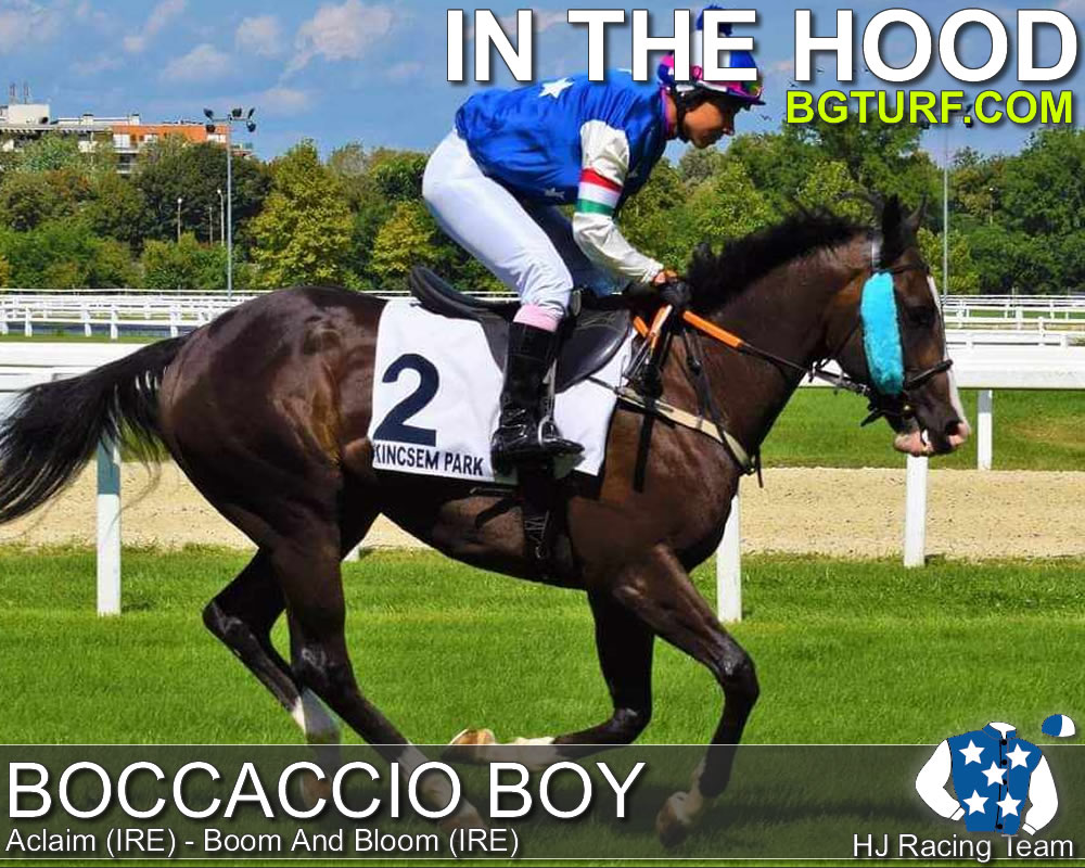 bgturf live race races gallop