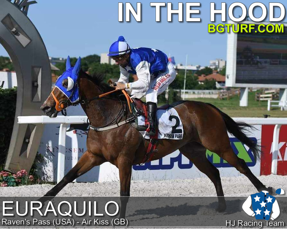 bgturf live race races gallop