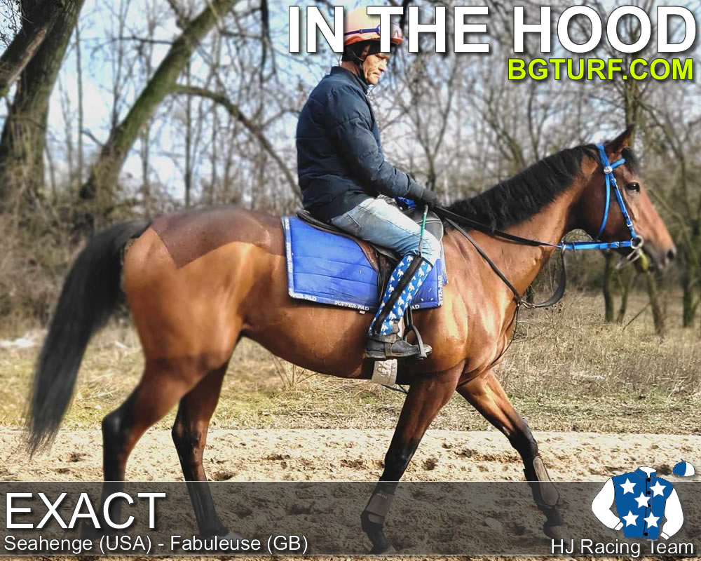 bgturf live race races gallop