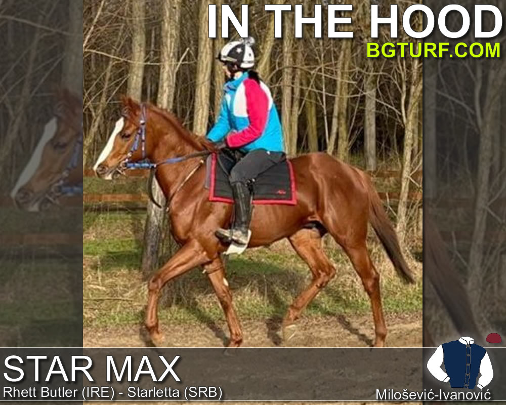 bgturf live race races gallop