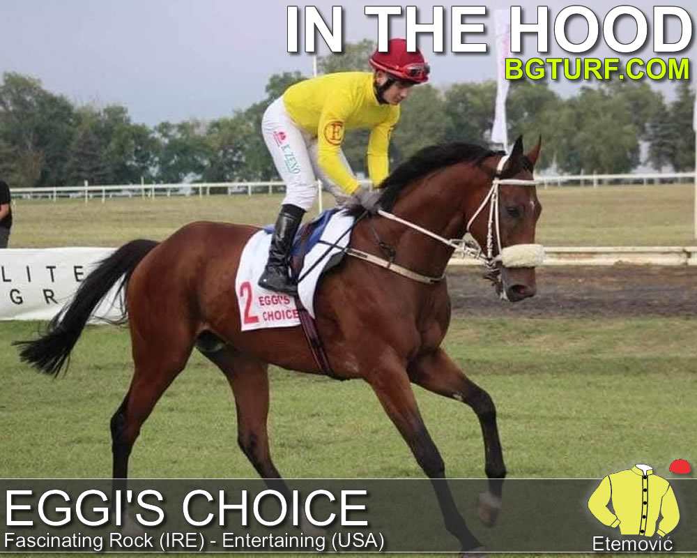 bgturf live race races gallop