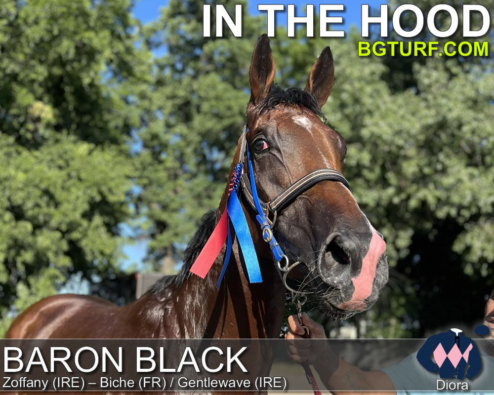 bgturf live race races gallop