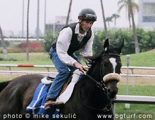 Klik za veću fotografiju...