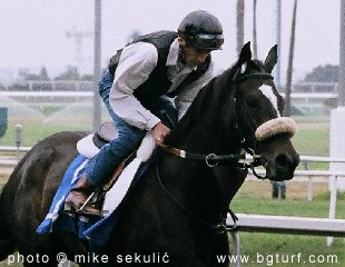 Klik za veću fotografiju...