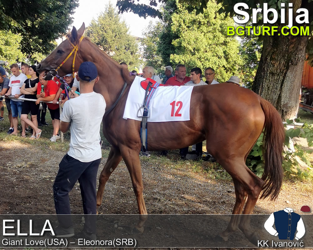 bgturf trening srbija