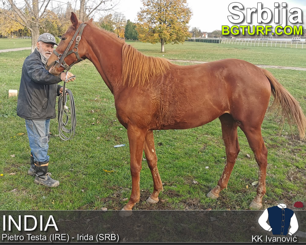 bgturf trening srbija
