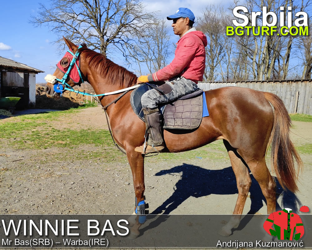 bgturf trening srbija