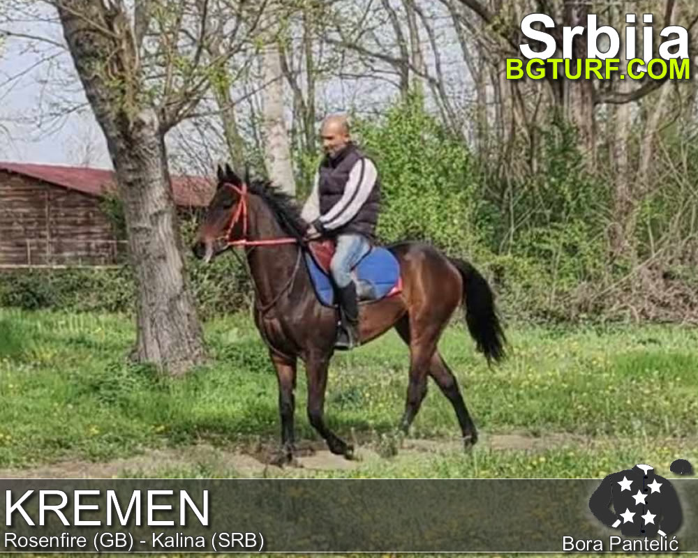 bgturf trening srbija
