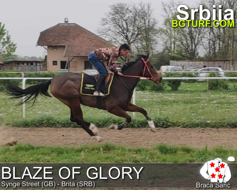 bgturf trening srbija