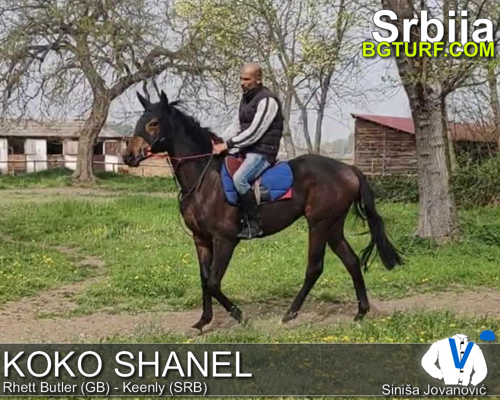 bgturf trening srbija
