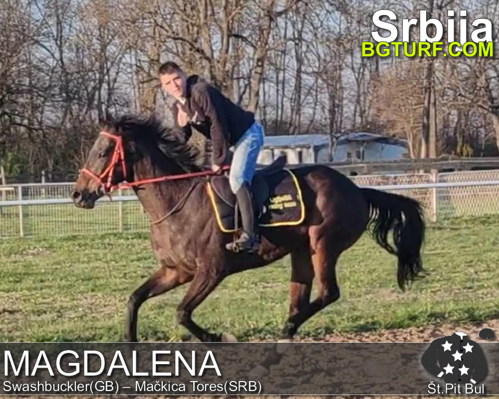 bgturf trening srbija