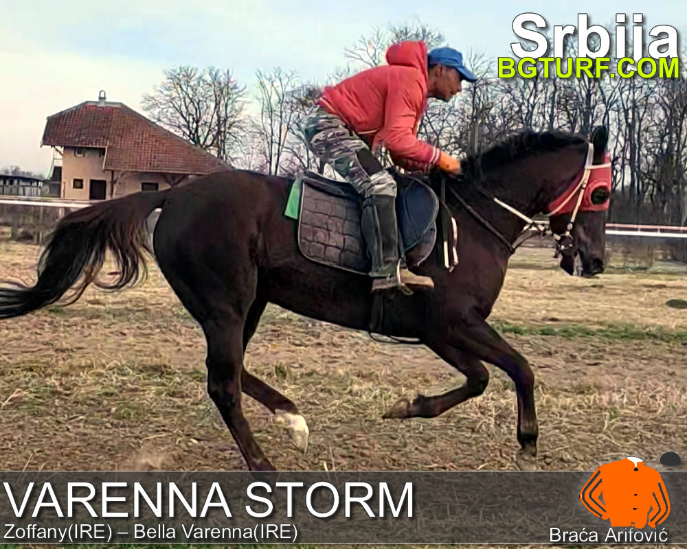 bgturf trening srbija