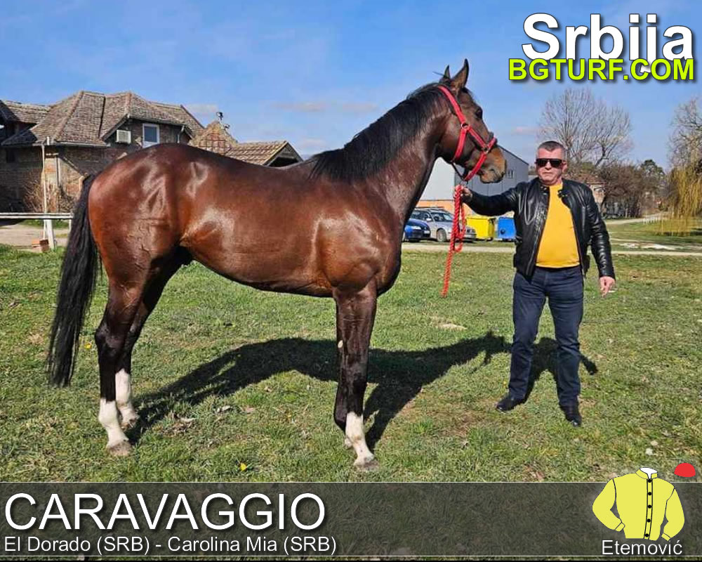 bgturf trening srbija