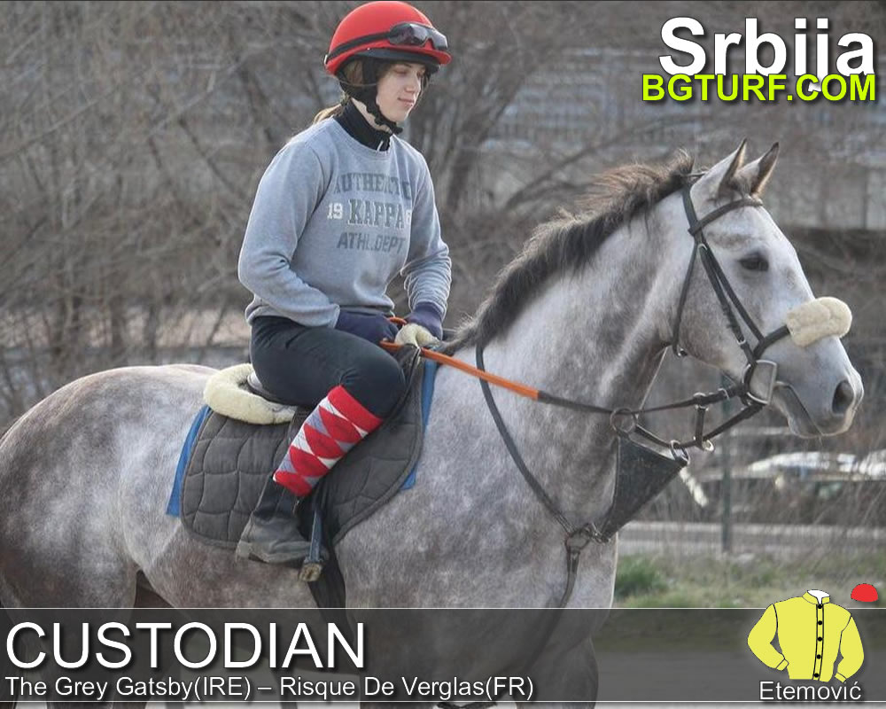 bgturf trening srbija