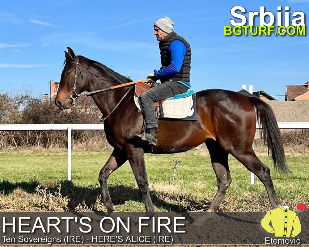 bgturf trening srbija
