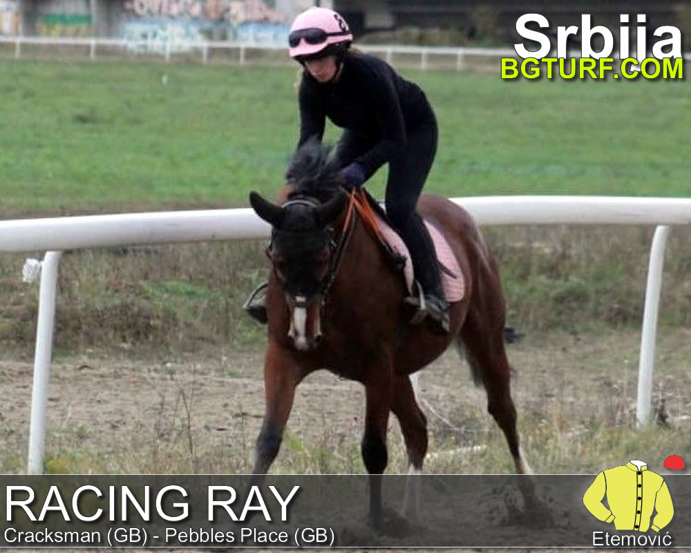 bgturf trening srbija