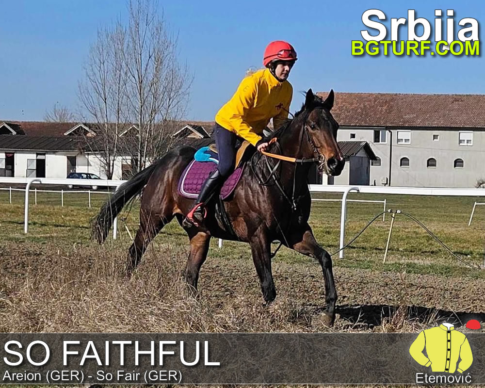 bgturf trening srbija