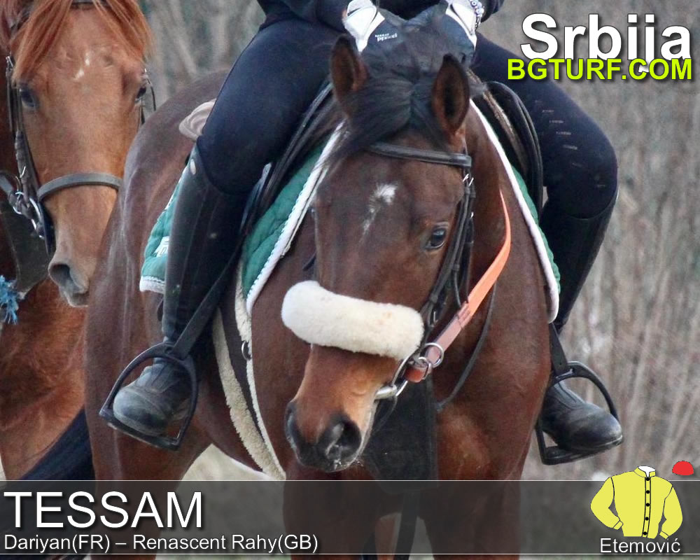 bgturf trening srbija