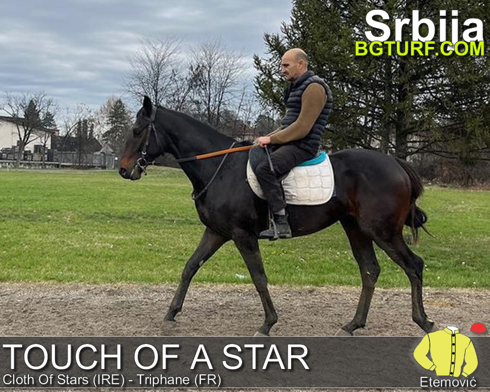 bgturf trening srbija