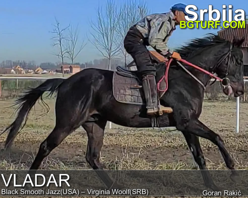 bgturf trening srbija