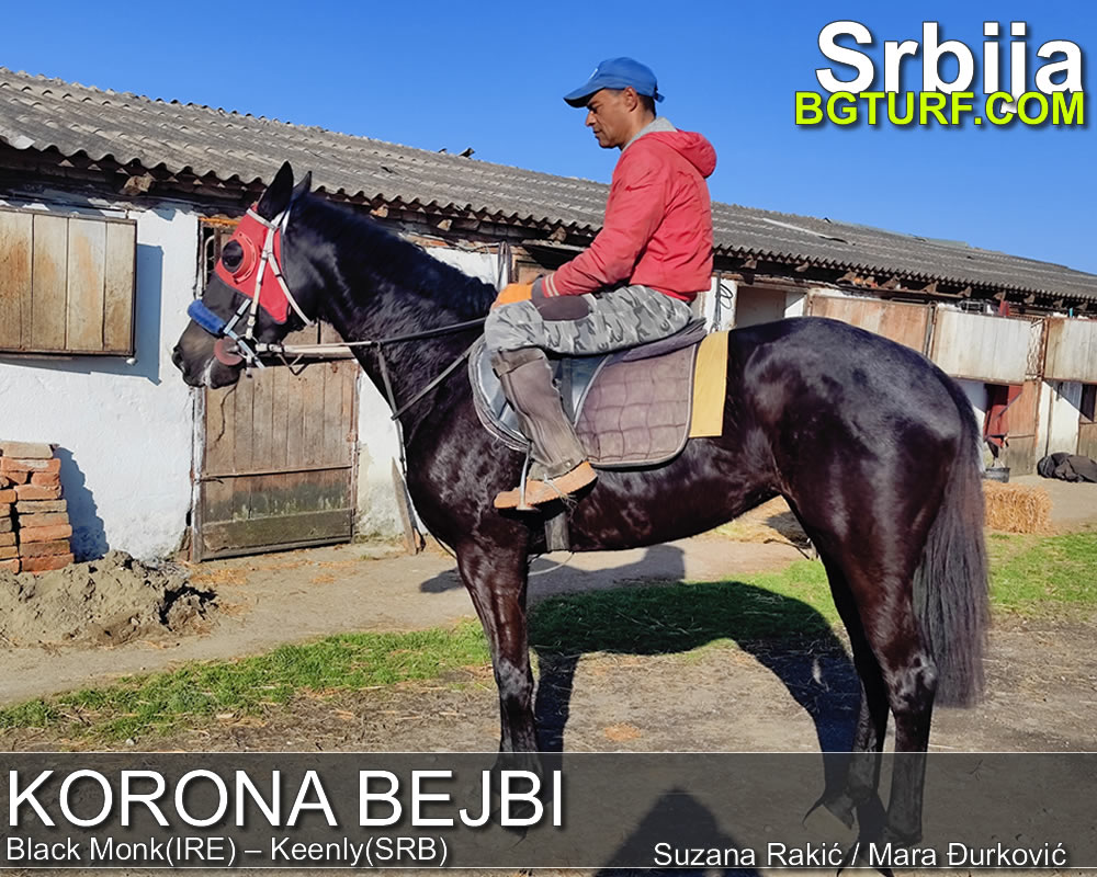 bgturf trening srbija